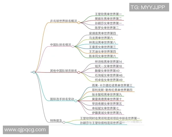 北京乒乓球队引领最新乒乓球技术TOP10榜单解析与发展趋势